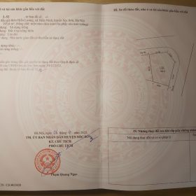 193m đấu giá hiền lương