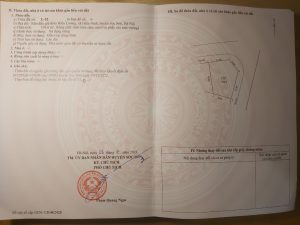 193m đấu giá hiền lương