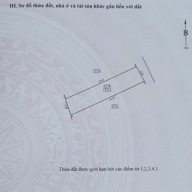 122m xuân bách quang tiến