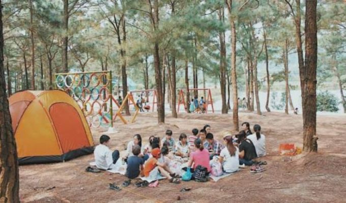 Cắm trại tại rừng thông