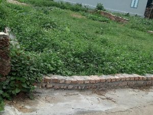 Đất thôn Phú Hạ, xã Minh Phú