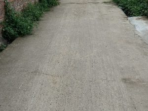 Đất thôn Phú Hạ, xã Minh Phú