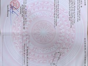 Giấy chứng nhận sử dụng đất