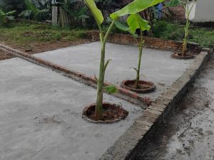 Lô đất F0 thôn Phú Hạ