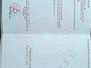 Quyền sử dụng đất